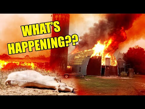 Why are So Many Farms Being DESTROYED?!